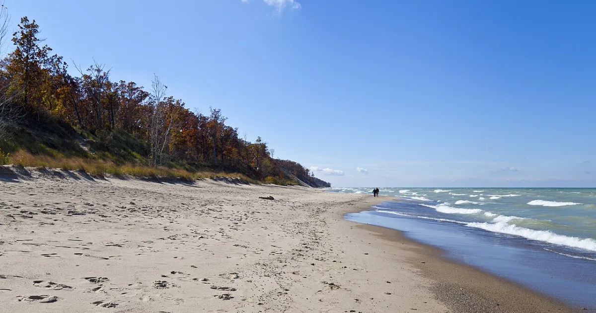 West Beach Succession Trail