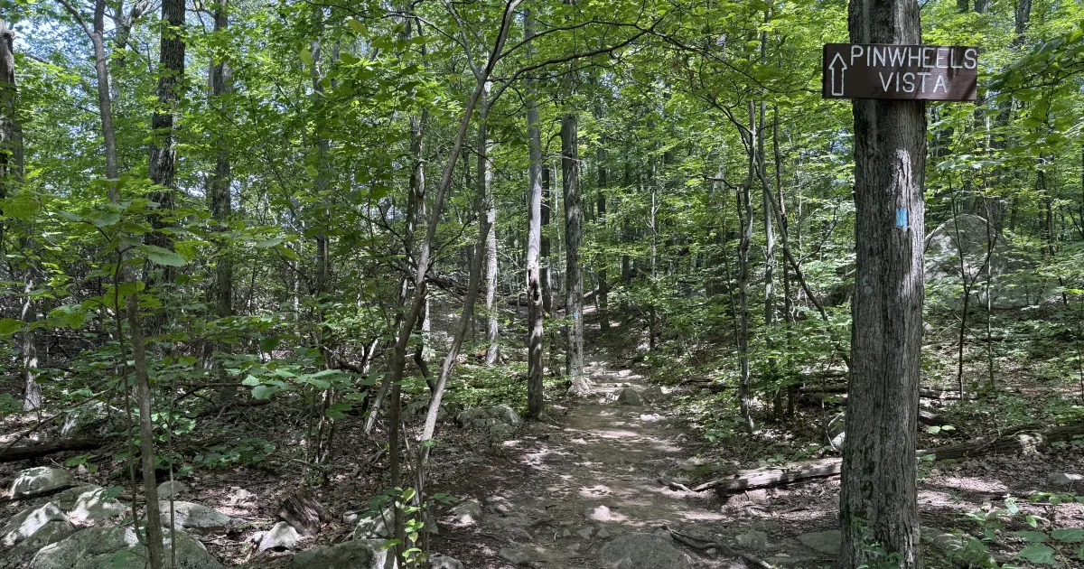 North Vista Trail to Exclamation Point