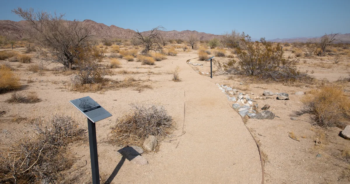 Desert Nature Walk