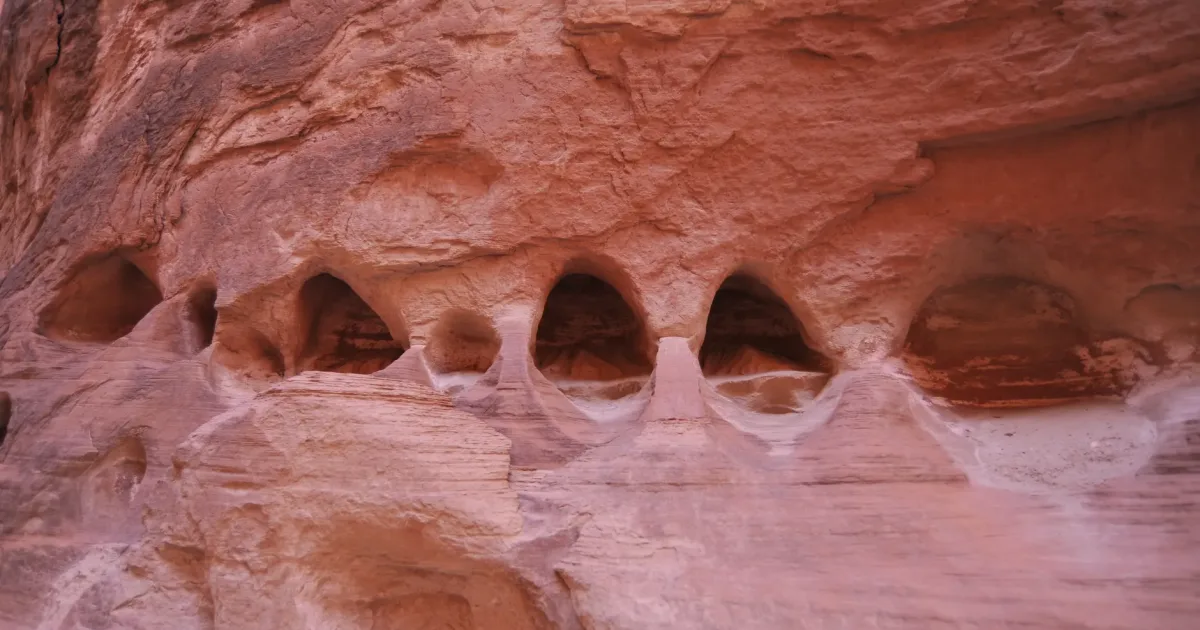 Slaughter Canyon Cave Hike