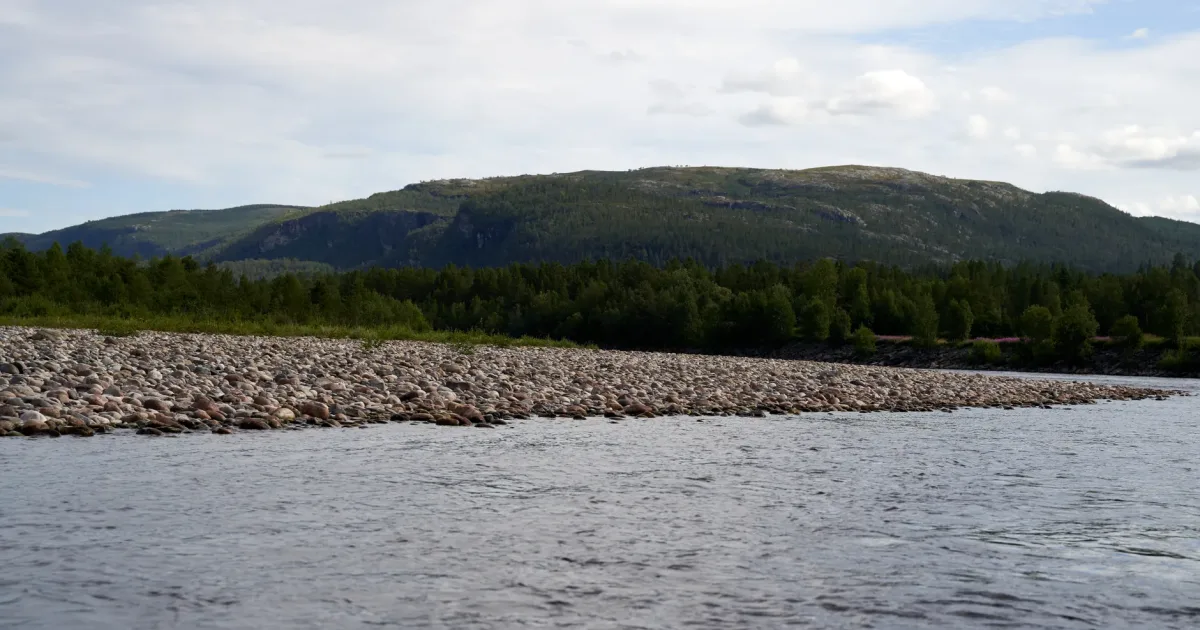 Kobuk River Gravel Bar Walk