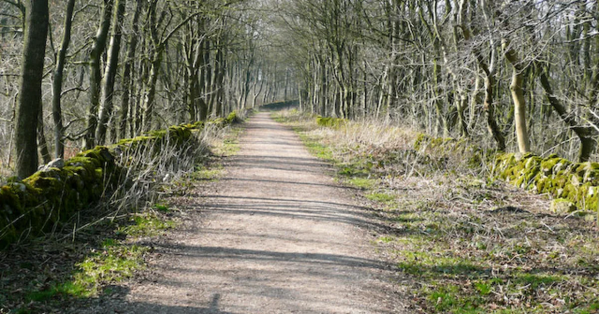 High Peaks Trail