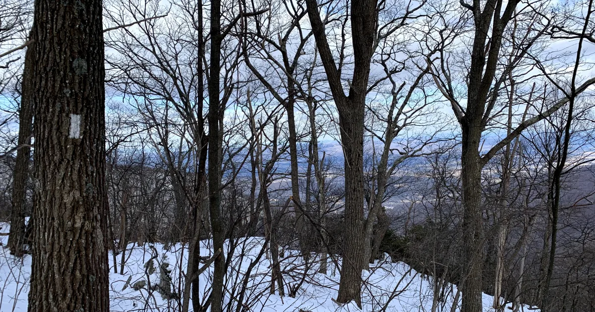 Hawksbill Summit Trail