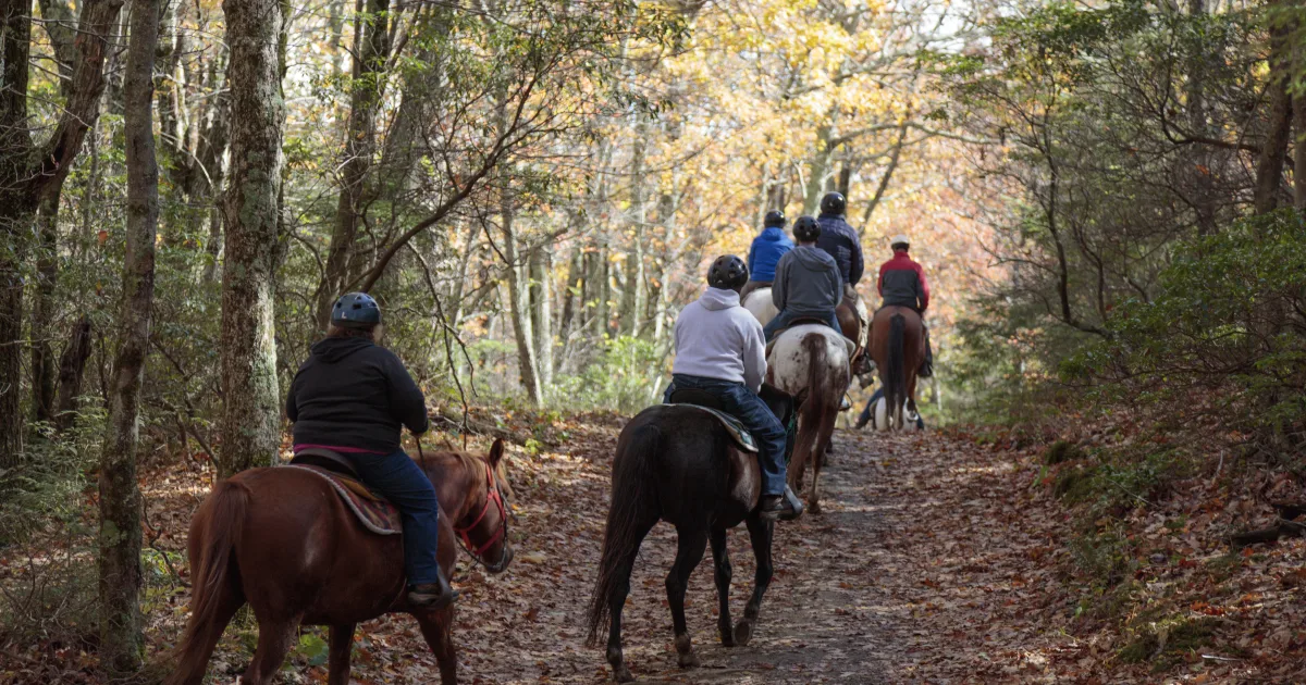 Limberlost Trail