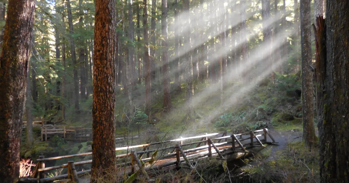 Olympic NP: Sol Duc Falls Loop — Forks, Washington