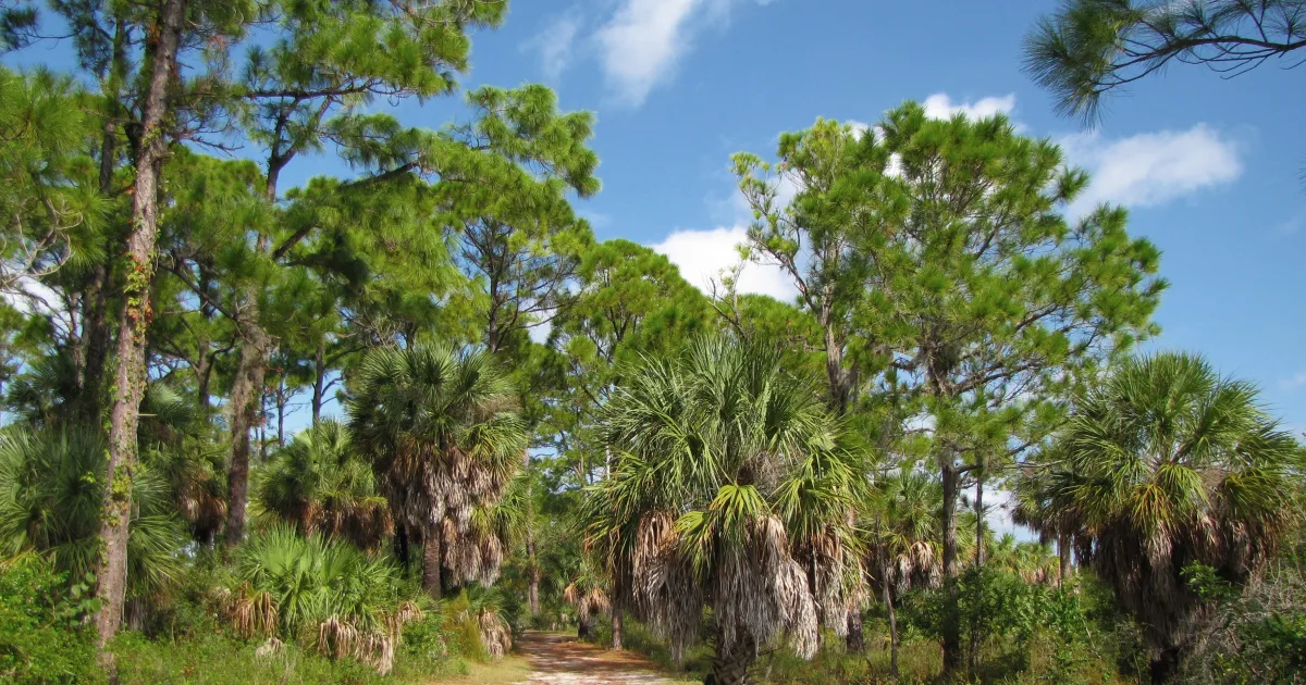 Palmetto Trail – Lake Murray Passage — Lake Murray, SC