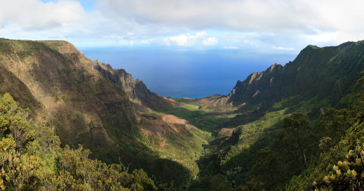 Pihea Trail Kauai