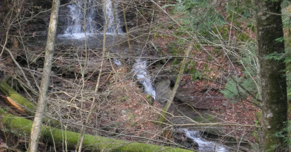 Pine Creek Gorge: Turkey Path Trail — Wellsboro, Pennsylvania