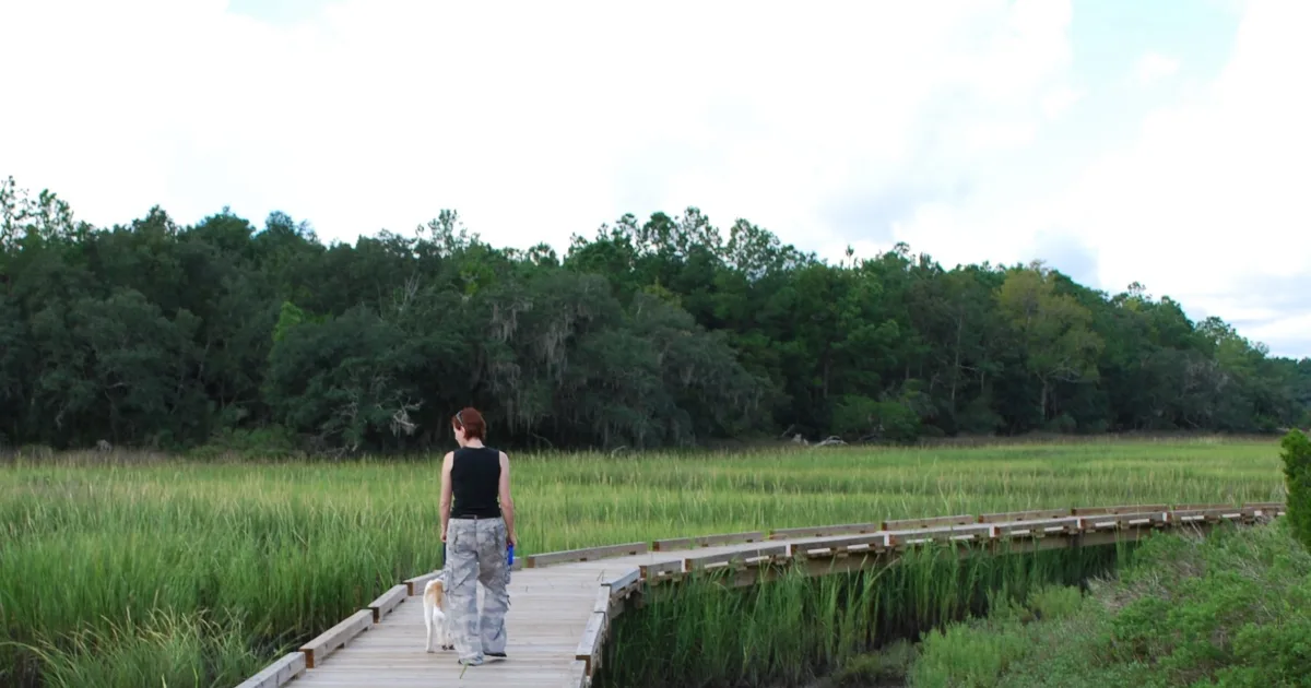 Poe Creek Trail — Sumter National Forest, SC