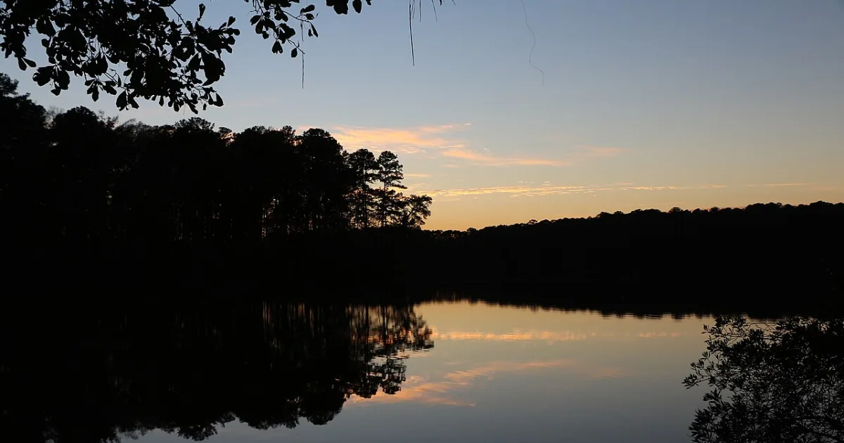 Roosevelt State Park Ridge Trail — Morton, Mississippi