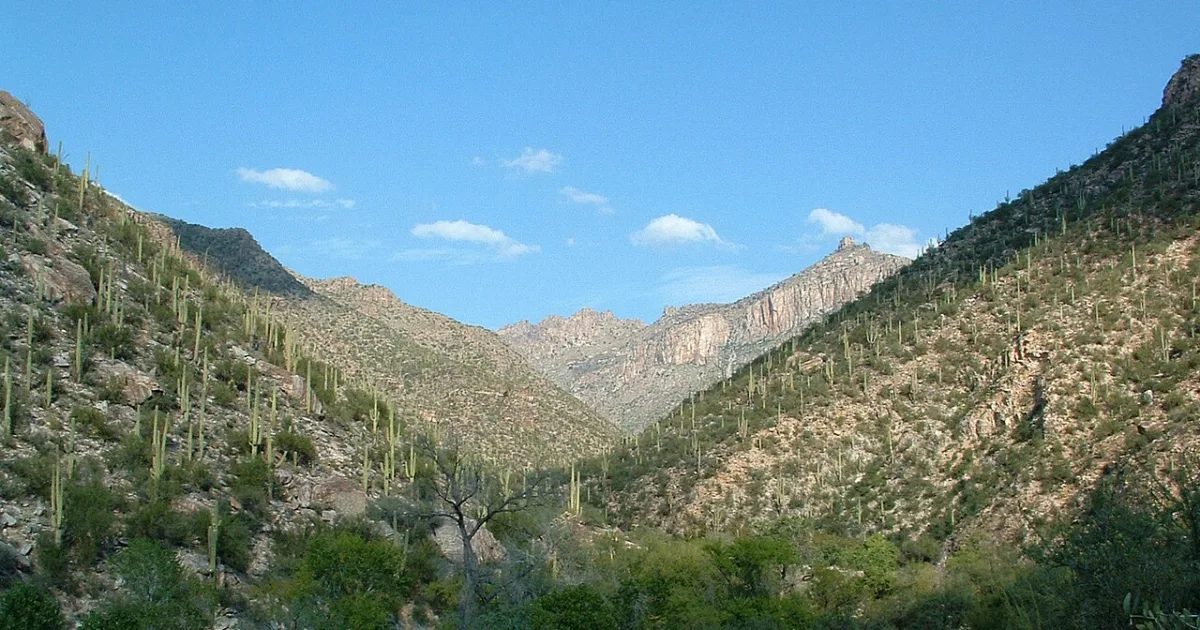 Sabino Canyon Trail