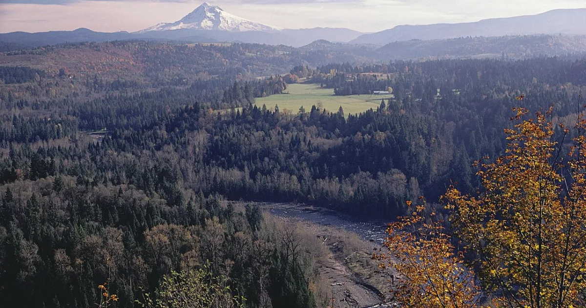 Sandy Ridge MTB — Sandy, Oregon