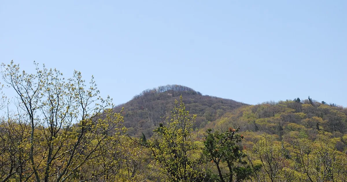 Shenandoah Mountain Trail — George Washington NF, VA