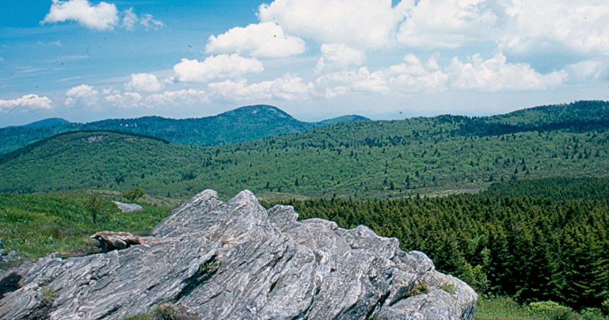 Shining Rock Wilderness Trail — Pisgah NF, NC