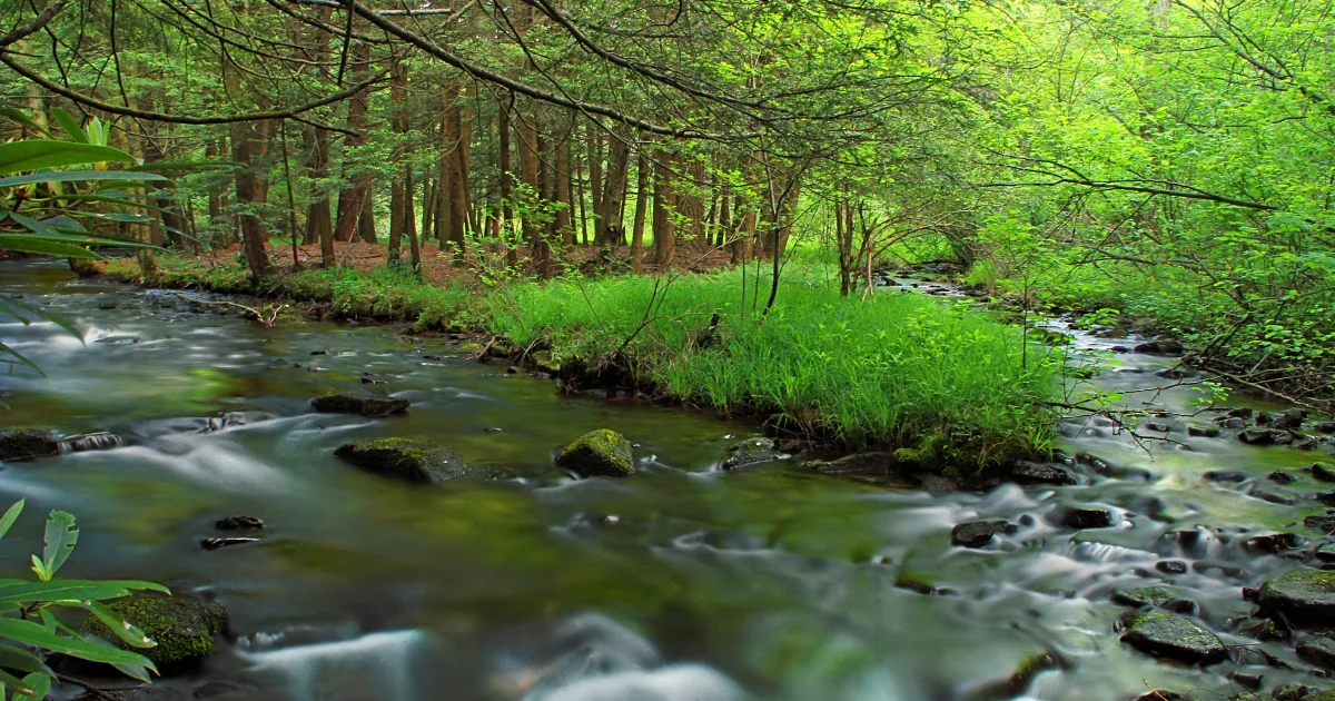 Six Mile Run MTB — Franklin, New Jersey