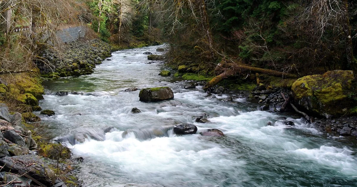 Sol Duc Falls Trail