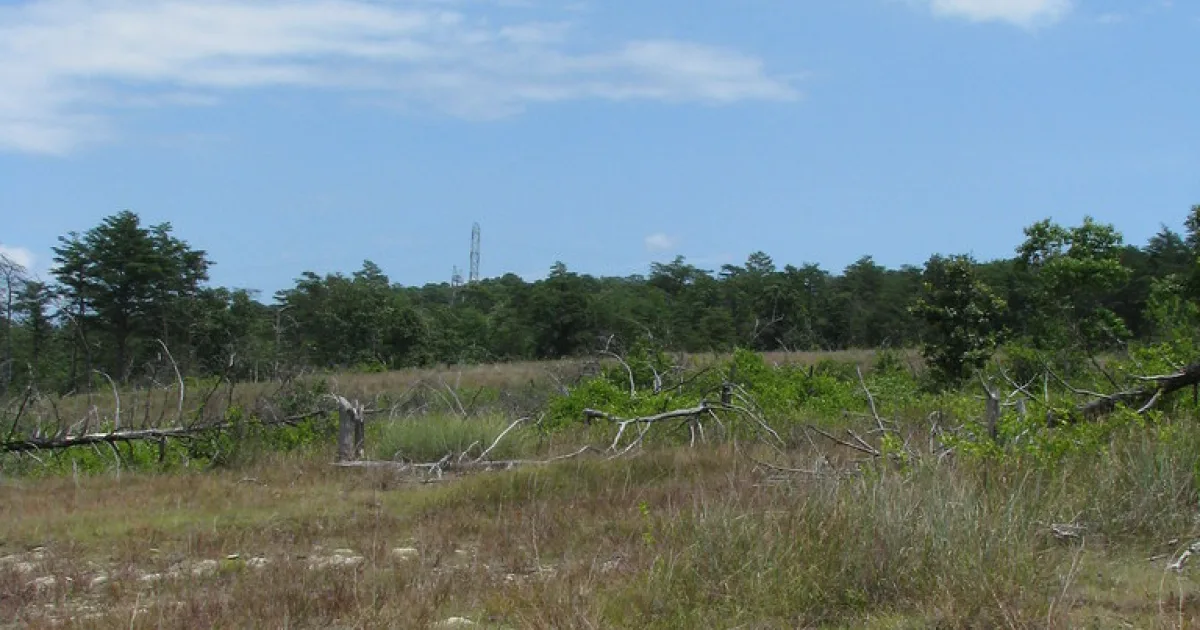 Soldiers Delight Serpentine Barrens