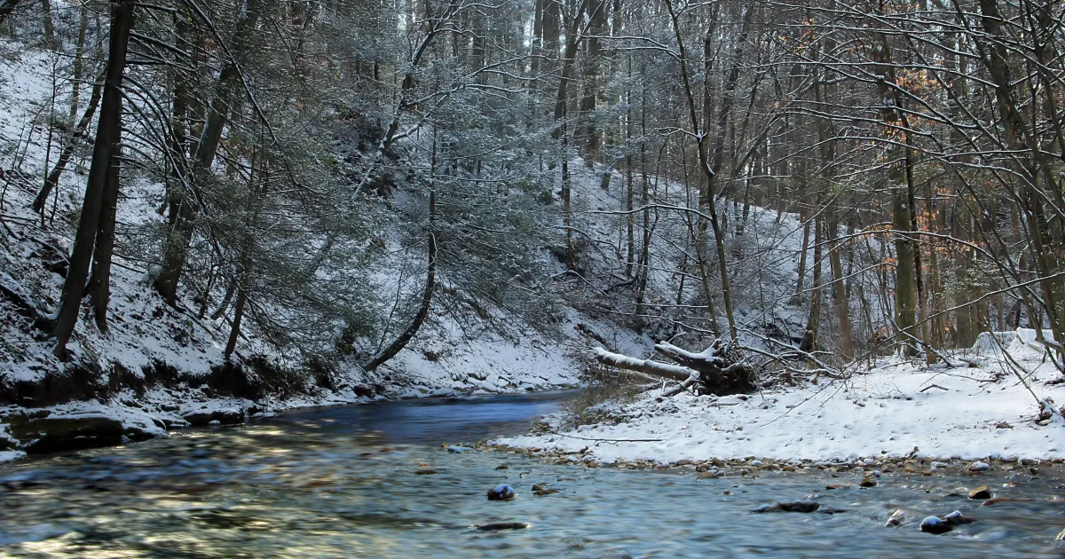 Indian Creek Trail