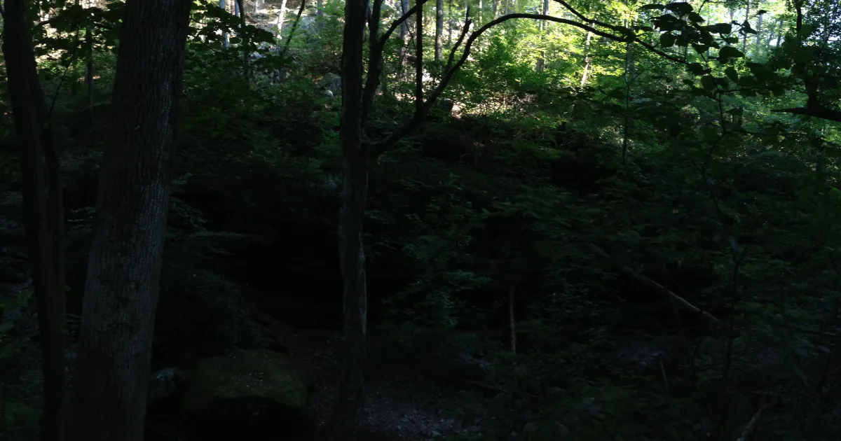 Dunnfield Creek Trail