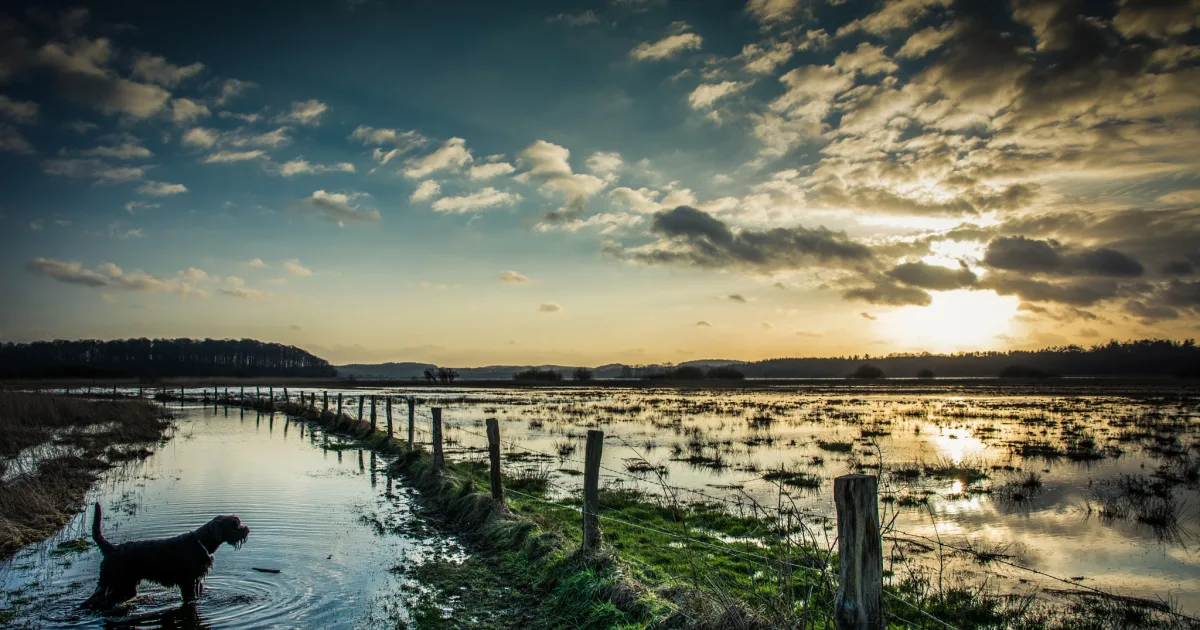 Floodplain Trail