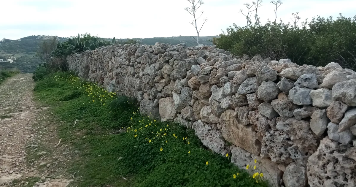 Stone Wall Loop