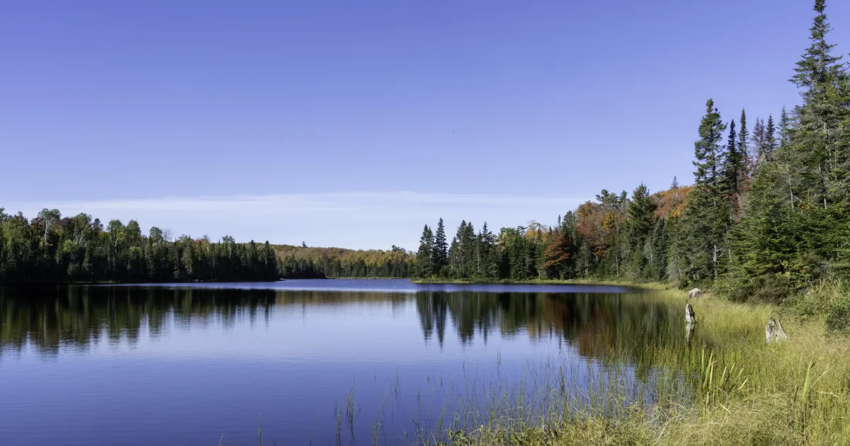 Superior Hiking Trail Section