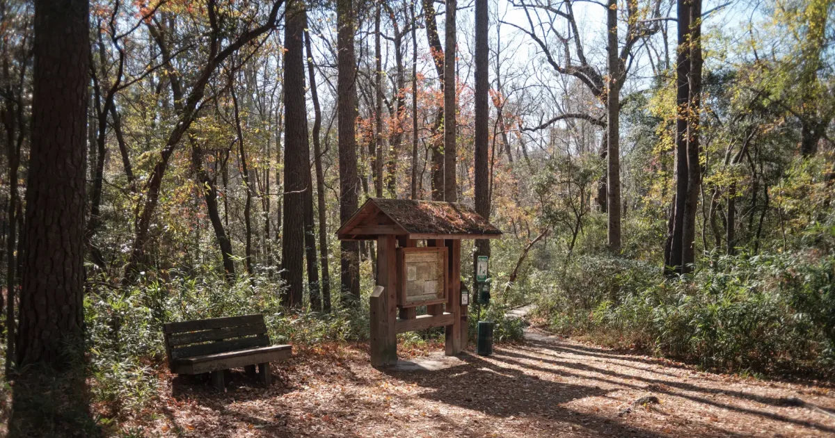 Auger Hole Trail