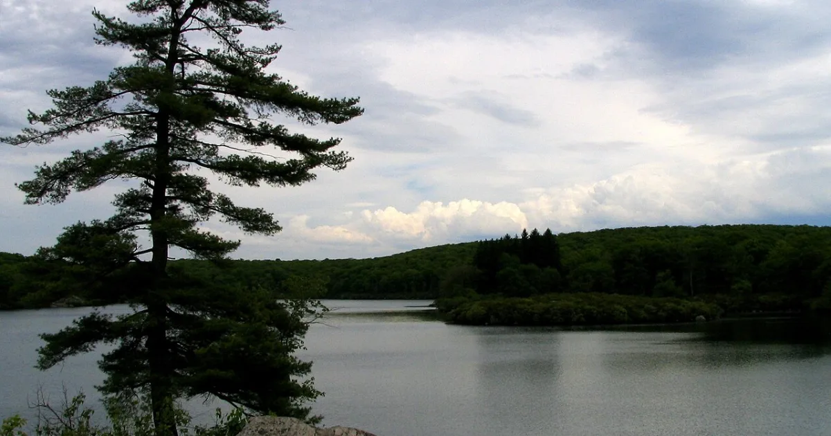 Pine Meadow Lake Loop