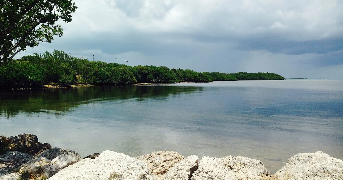 Wild Tamarind Trail