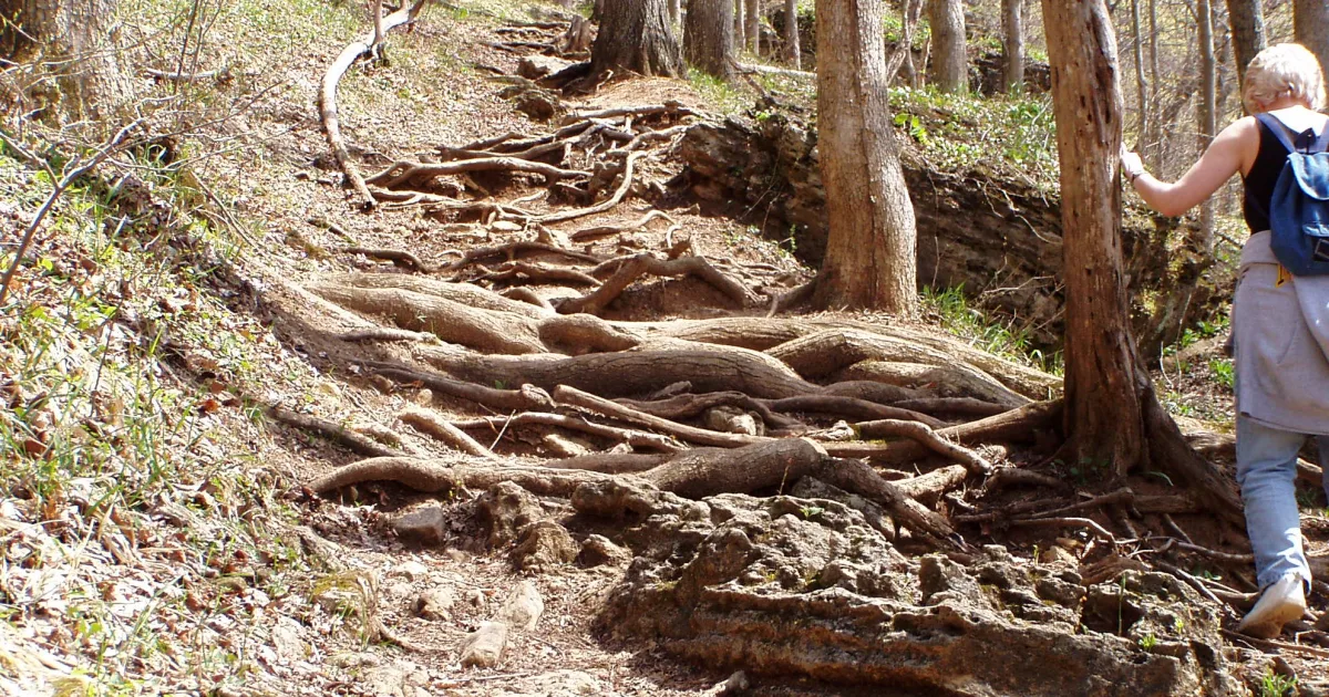 Falls Branch Trail