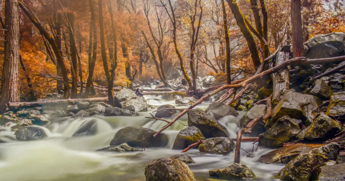 Arroyo Sequit Canyon