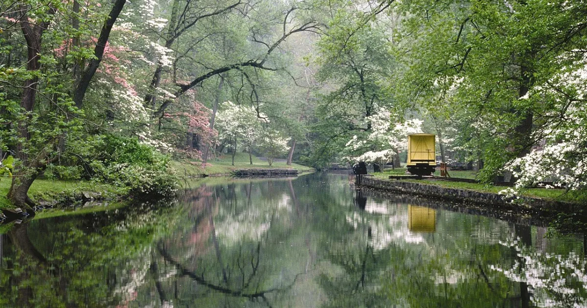 Millpond Trail