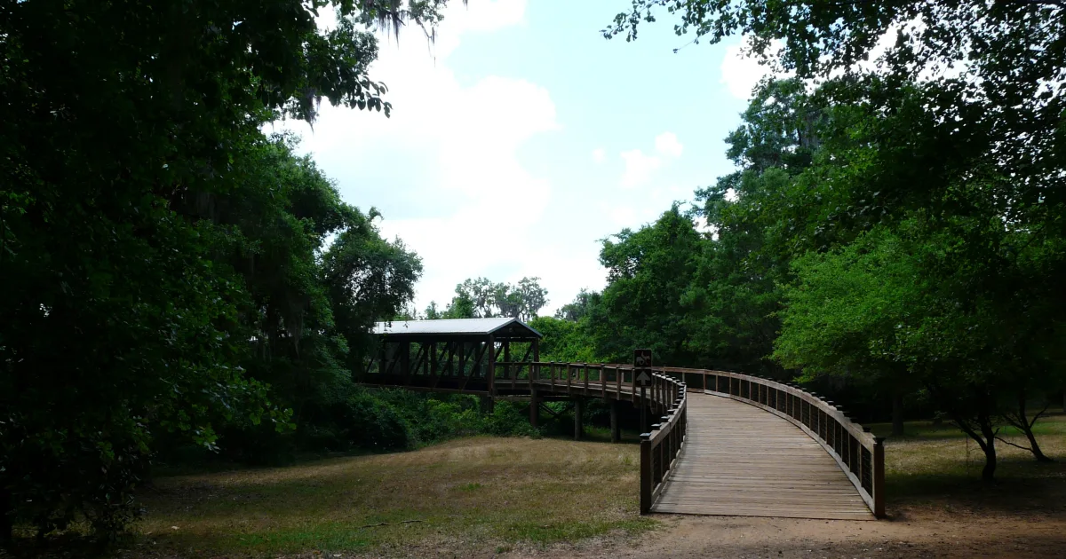 Canopy Walkway Trail