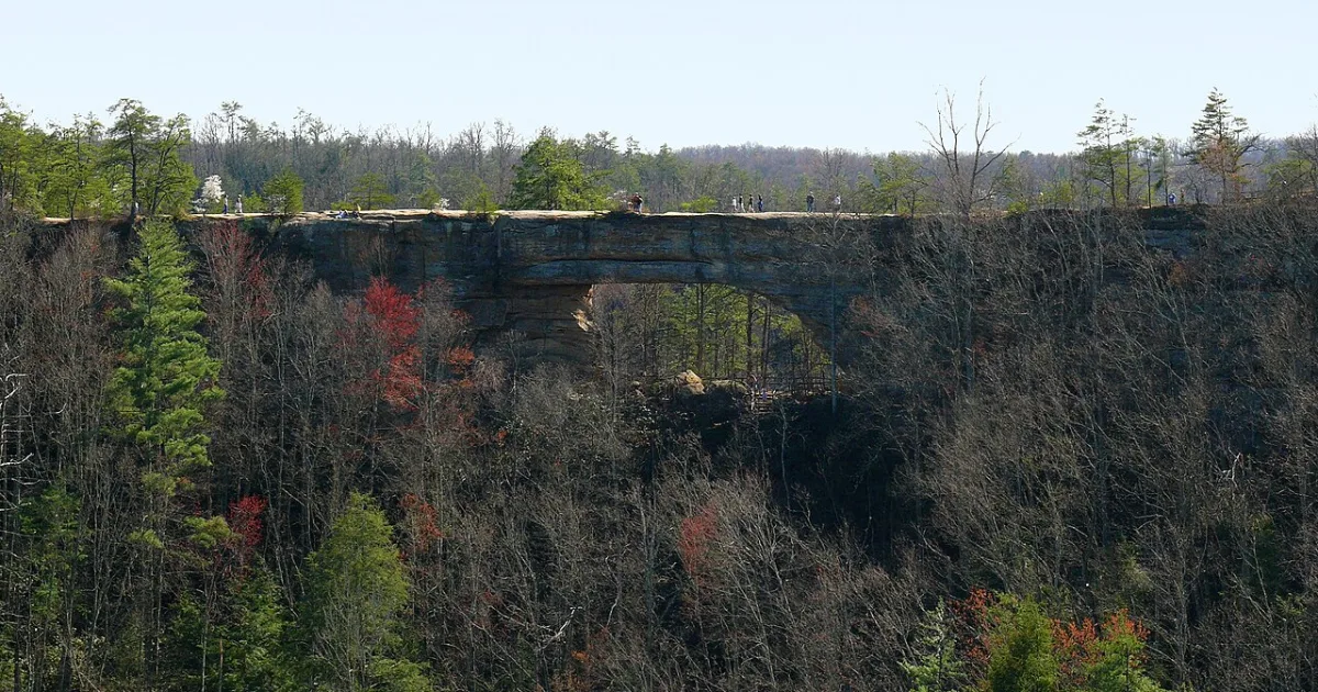 Hood's Branch Trail