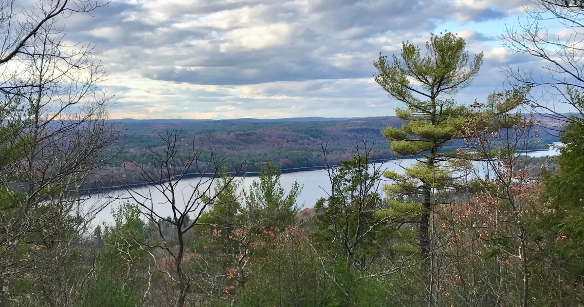 Beaver Swamp Trail