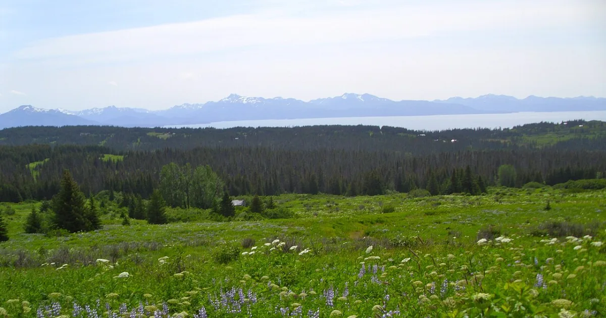 Homestead Trail