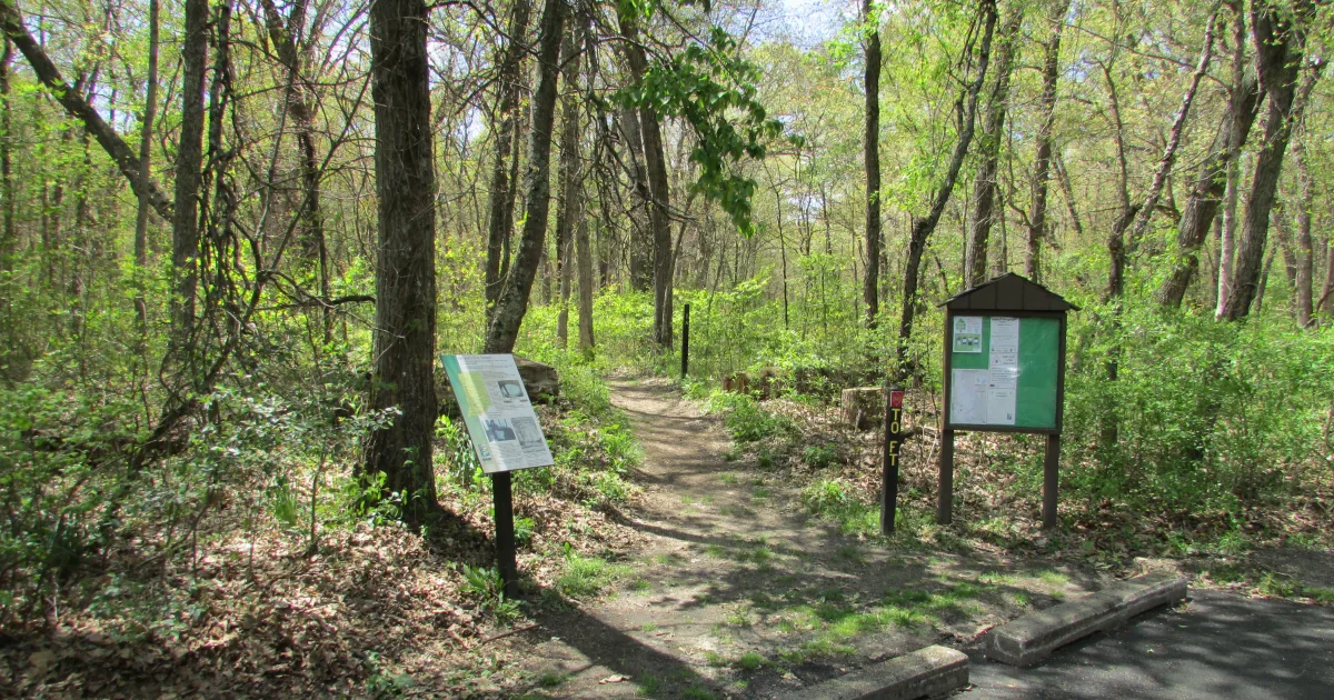 Tower Trail to Sunrise Mountain