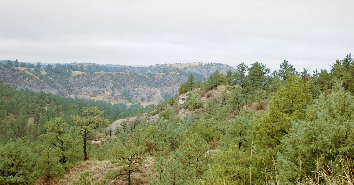 Rim Trail
