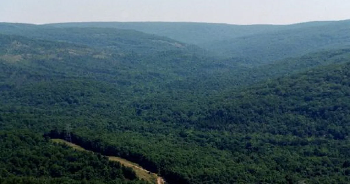 Taum Sauk Mountain Trail