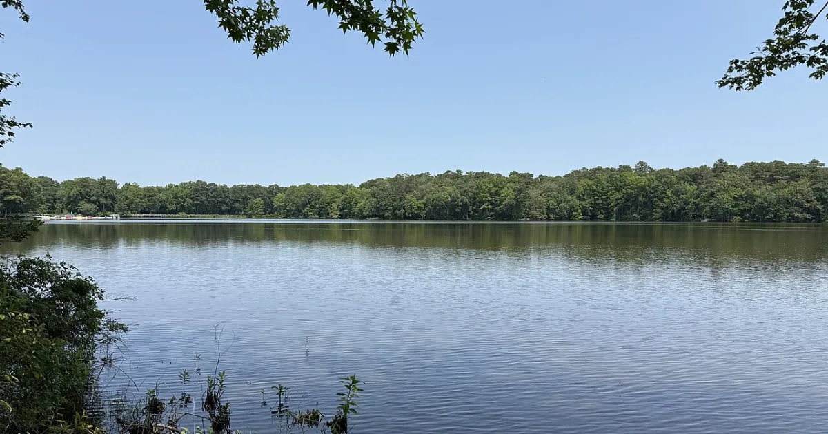 Trap Pond State Park Loop — Laurel, Delaware