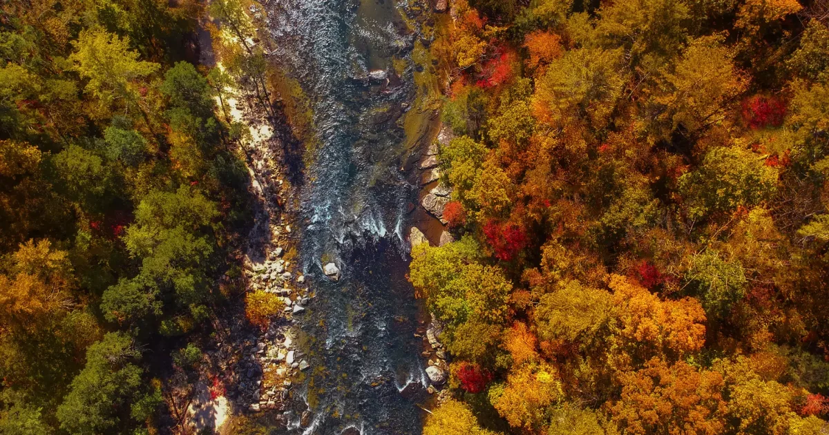 Triple Falls: DuPont State Forest's Crown Jewel Loop
