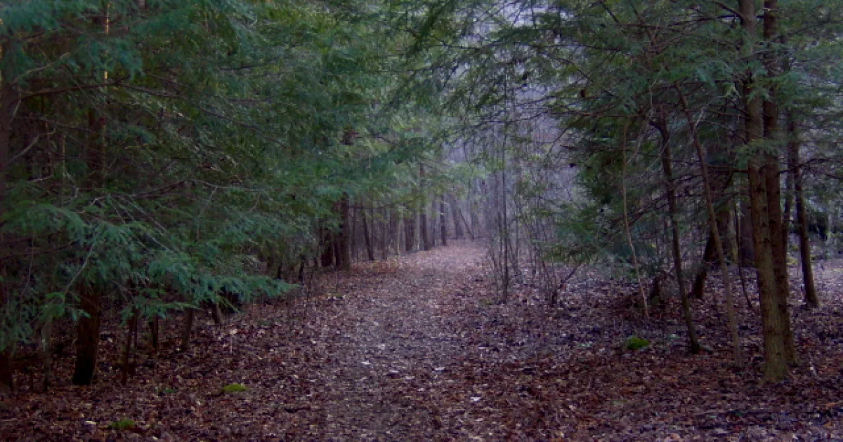 Virgin Falls: A Remote Wilderness Treasure in White County