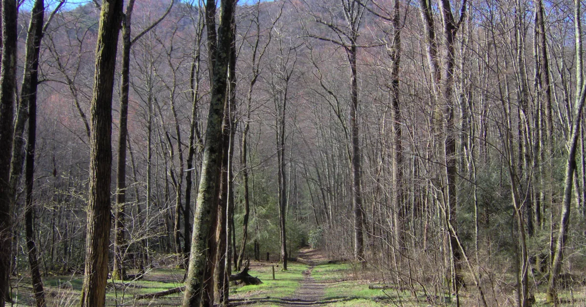Walnut Creek Park MTB — Walnut Creek Park, VA