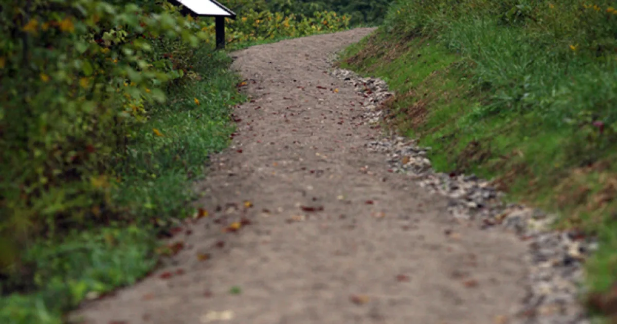 Wayne National Forest: Lamping Homestead MTB — Glouster, Ohio