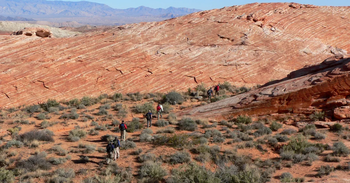 White Domes Loop