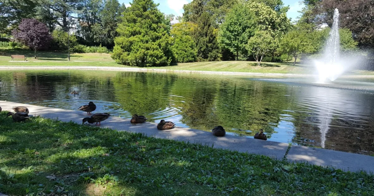 Wilcox Park Trail