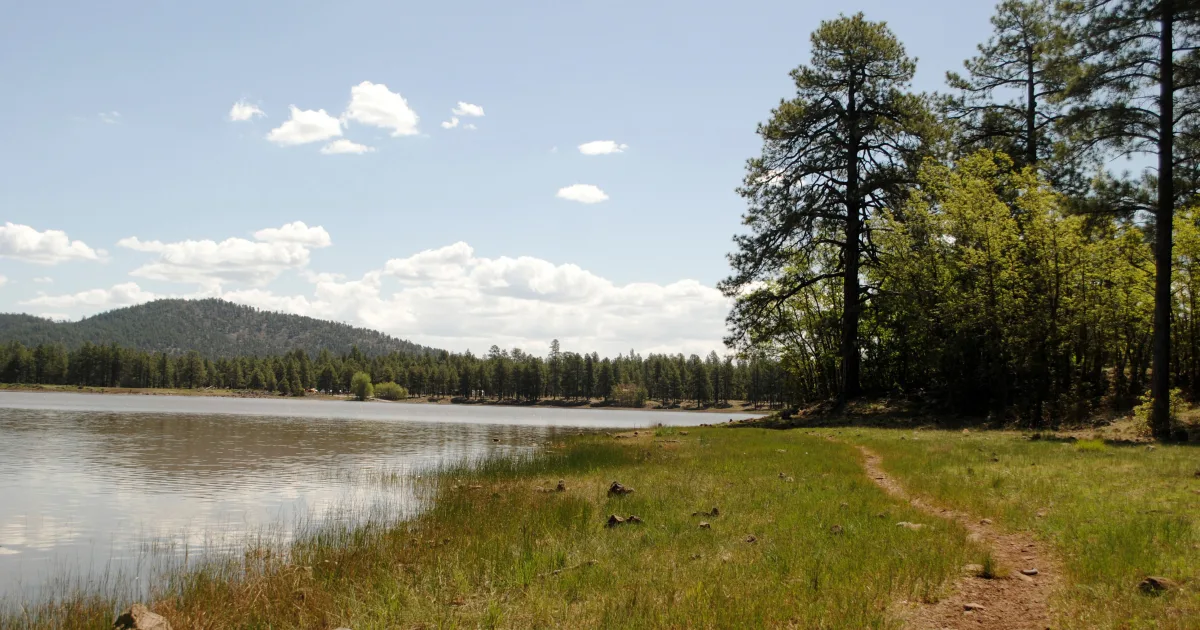 Williams Lake Trail