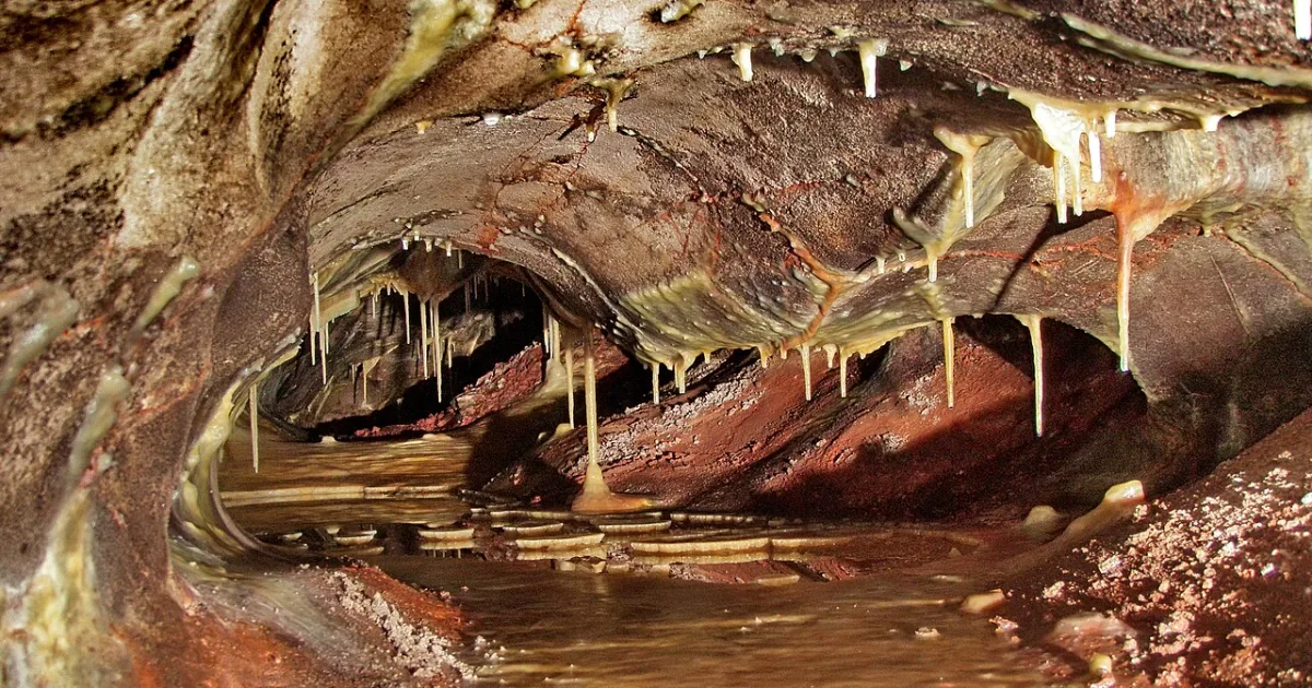 Wind Cave National Park Loop — Hot Springs, South Dakota