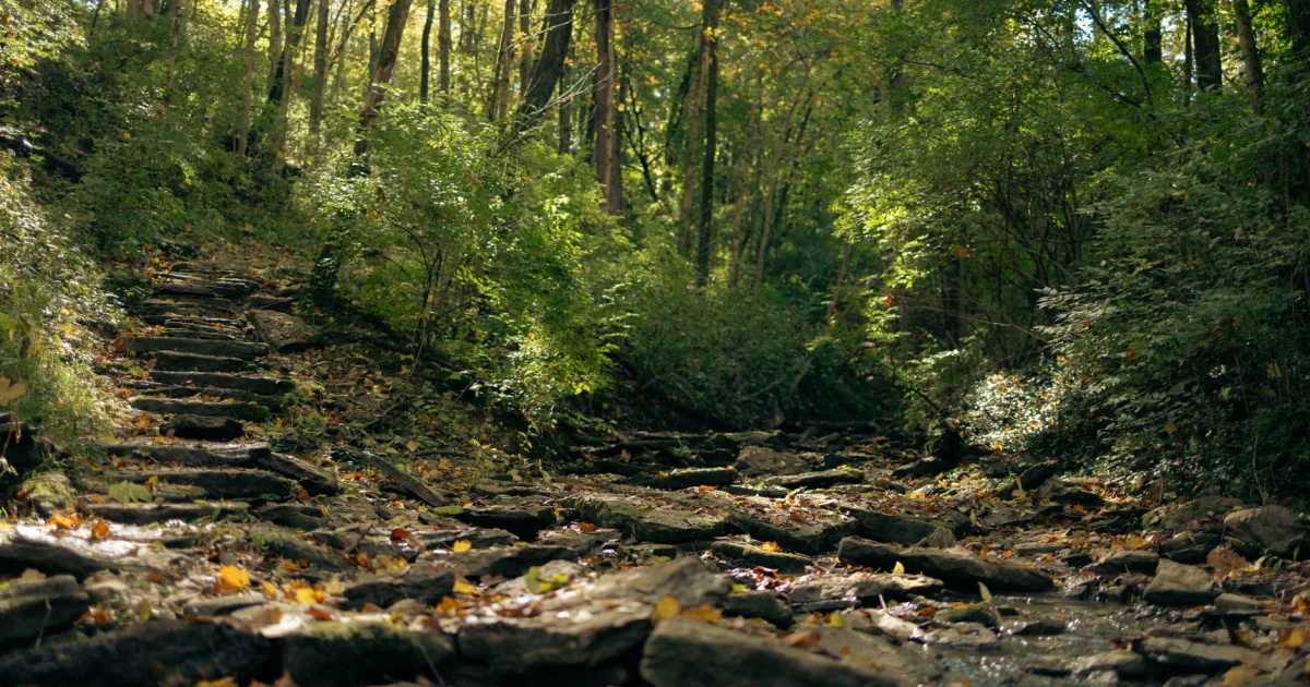 Yahoo Falls: The Tallest Waterfall in Kentucky
